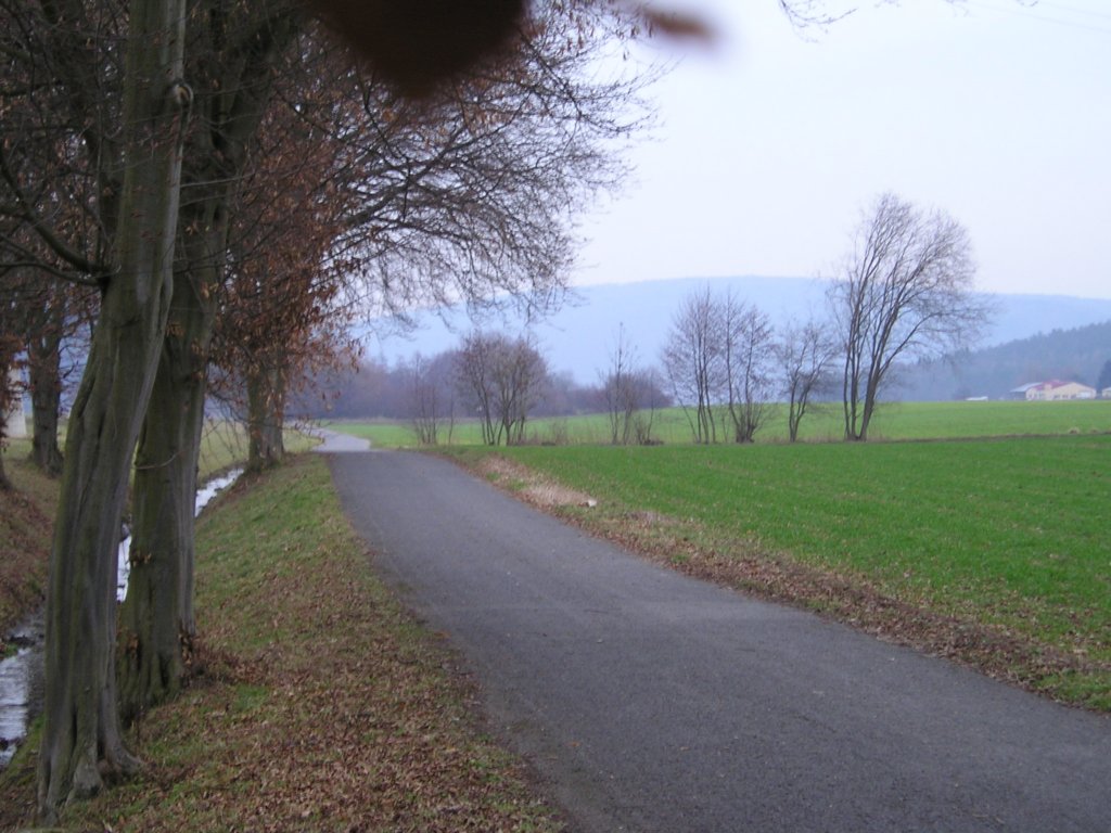 p1240341.jpg