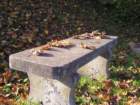 pa151345_small.jpg