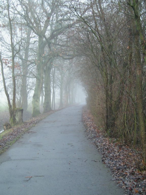 pc280283.jpg