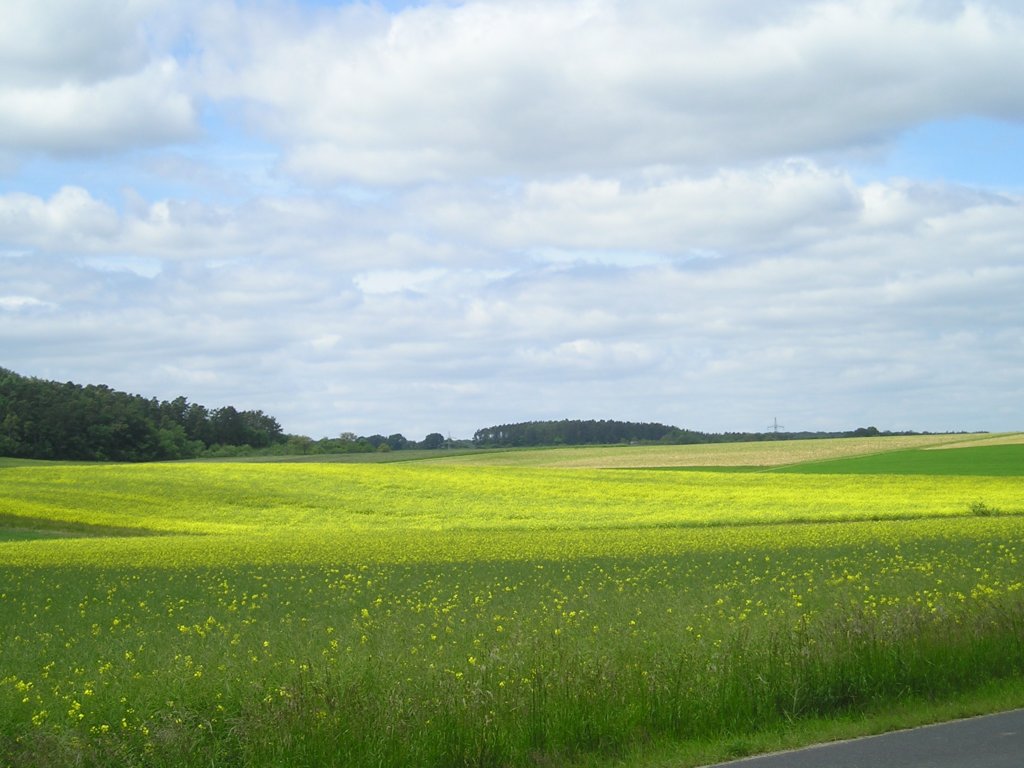 p1010007.jpg