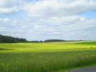 p1010007_small.jpg