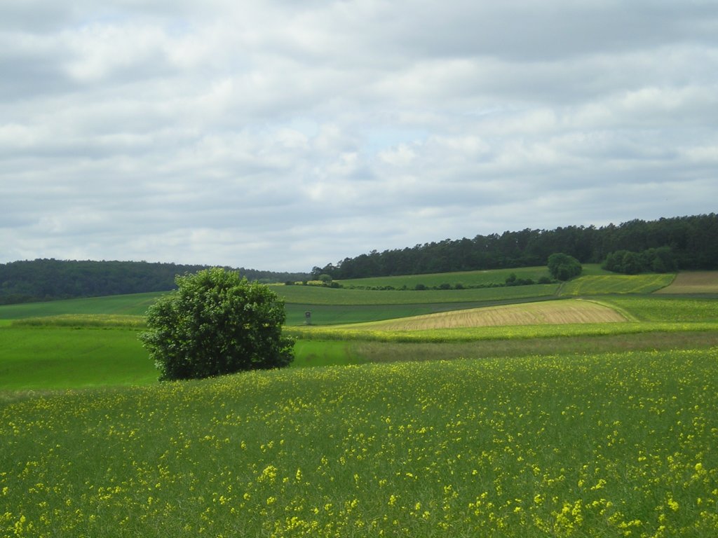 p1010008.jpg