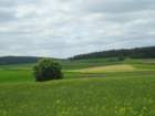 p1010008_small.jpg