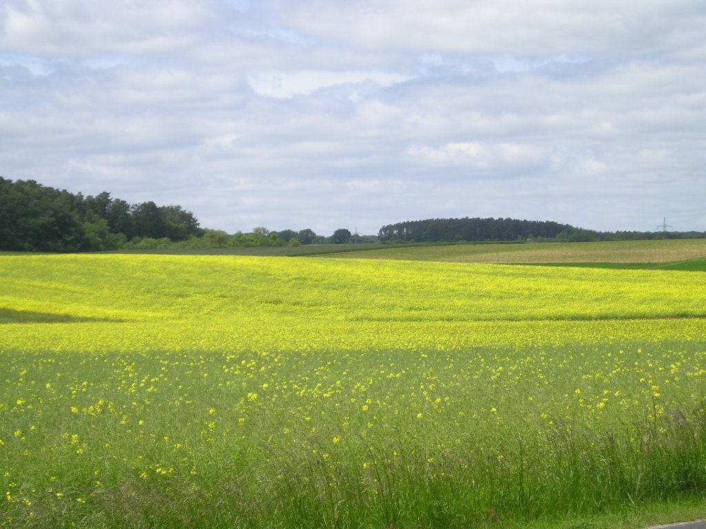 p1010009.jpg