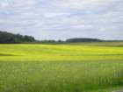 p1010009_small.jpg