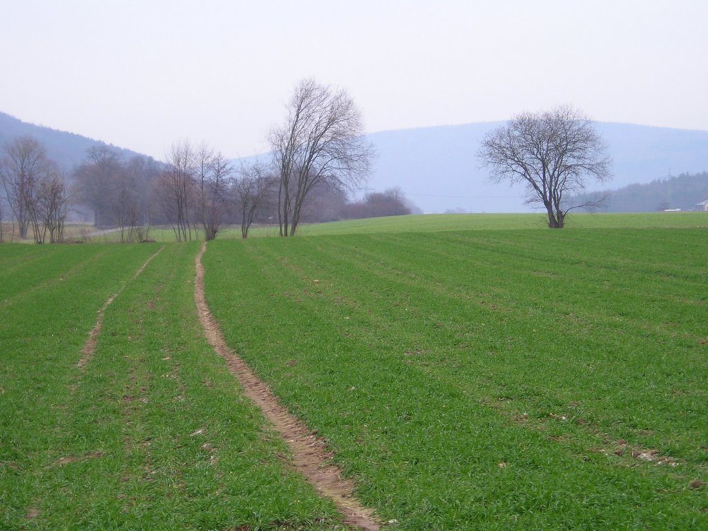 p1240339.jpg