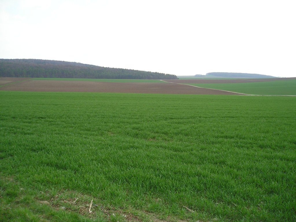 p4100558.jpg