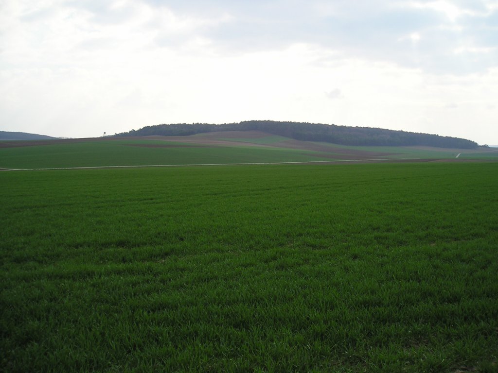 p4100559.jpg