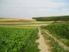 p7310852_small.jpg